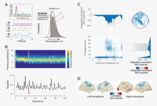 Our Model-based Estimates Of Surprise Varied Substantially - Diagram #9728807