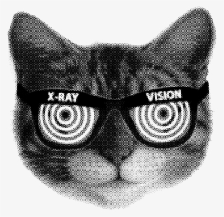 Cat Head X Ray Vision Kitten Kitty Furball Funny Humor - Котов #9729190