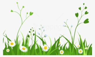 Download Daisies With Grasspicture Png Images Background - Nature Clipart Transparent Background #9730390