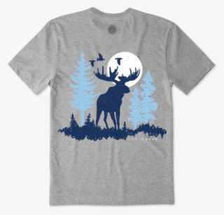 Images - Reindeer #9730910