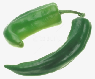 Free Png Download Green Pepper Png Images Background - Jalapeno Chilli Png #9732075