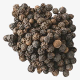 Black Pepper Png File - Black Pepper #9732256