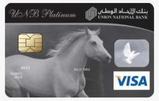 Unb Platinum Card - Hdfc Rewards Debit Card #9732913
