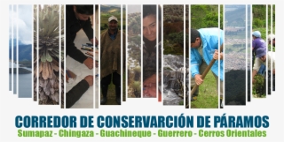 Main Banner Home - Creditos #9733383