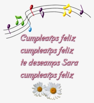 [ Img] - African Daisy #9734208