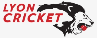 Cricket Batsman Vector - Illustration #9734621