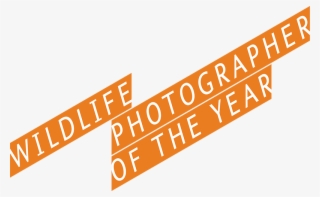 Rom Wildlife Photographer Of The Year Contest For Legal - Wildlife Photographer Of The Year #9735045