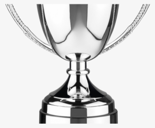 Award Clipart Cricket Trophy - Silver Cup Trophy Png #9736211