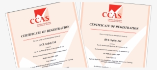 Brochure #9736284