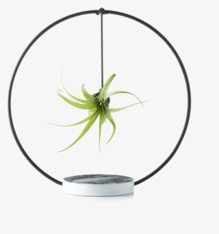 Eclipse - Circle #9736549