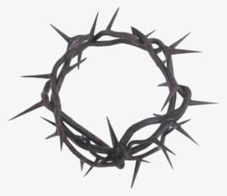 Crown Of Thorns Png #9737887