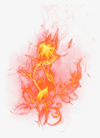Free Png Download Transparent Fire Rosepicture Png - Light Rose On Fire #9739276