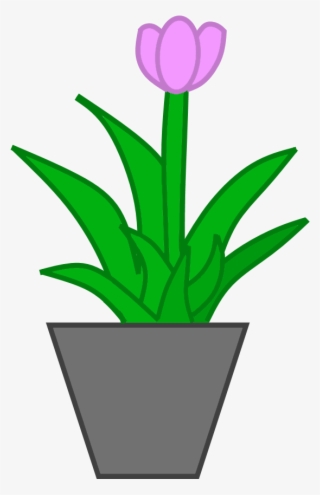 Potted Plant Png - Flowerpot #9739482