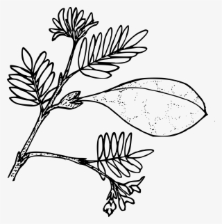 This Free Icons Png Design Of Ballon Pod Milkvetch #9739612
