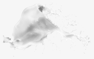 Report Abuse - Splash #9740310