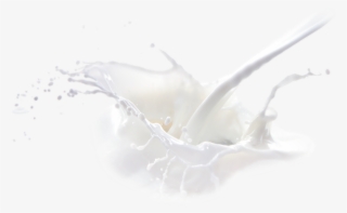 Feel Better Fast - Macro Photography #9740343