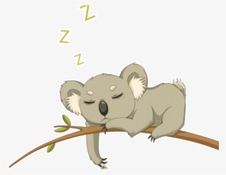 Drawn Koala Transparent - Transparent Background Cute Koala Clipart #9741325