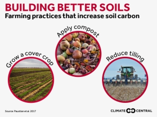 Jpg • Png - Cash Crop #9741464