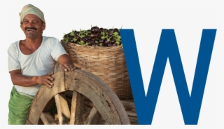 To Transform The Agri-products Supply Chain - Plantation #9741529