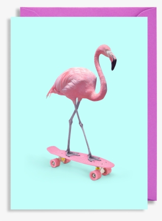 3504 X 3753 3 - Skate Flamingo #9742043