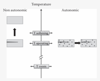 Nonautonomic Self Healing Involves Overheating To Enable - Diagram #9742337