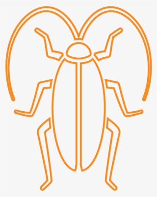 Cockroach - Weevil #9742386