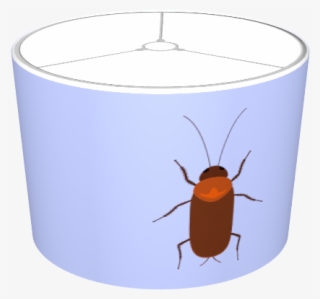 Cockroach - Beetle #9742571