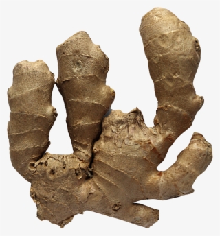 Download Ginger Png Image - Ginger #9743951
