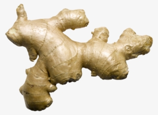 Ginger - Fresh Ginger #9744171