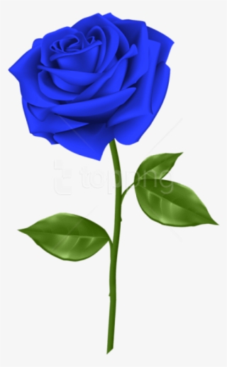 Free Png Download Blue Rose Png Images Background Png - Blue Rose Transparent Background #9744174