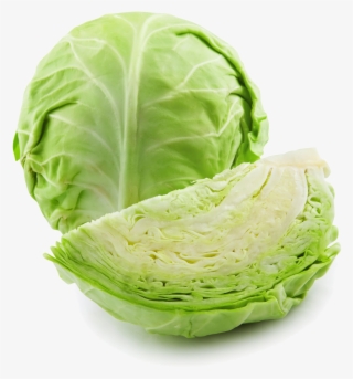 Cabbage Png High-quality Image - Imagen De Un Repollo #9744586