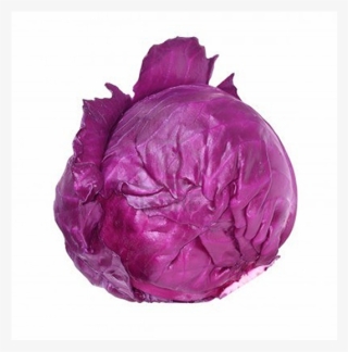 Red Cabbage Png - Coliflor Lombarda #9744614