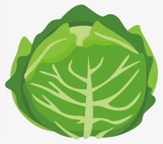 Chinese Cabbage Vegetable Cartoon - Cartoon Cabbage #9744755