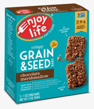 Grain & Seed Bars - Enjoy Life Bars #9744963