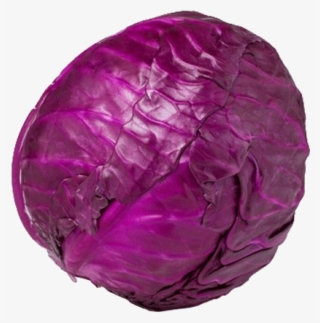 Red Cabbage #9745170