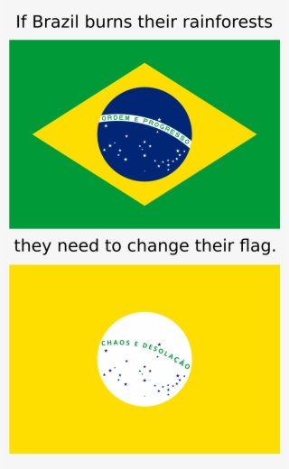 Brazil Flag #9745243