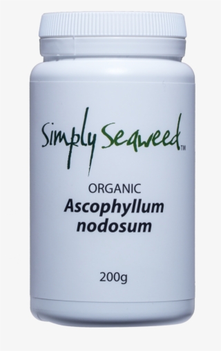 Saw Palmetto #9745280