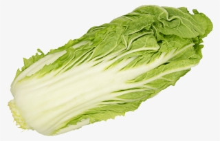 Romaine Lettuce #9745468