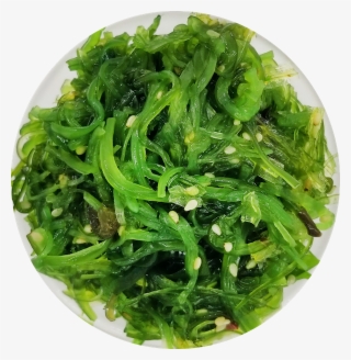 Seaweed Salad - Parsley #9746000