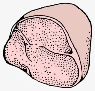 How To Set Use Ham Svg Vector #9746908