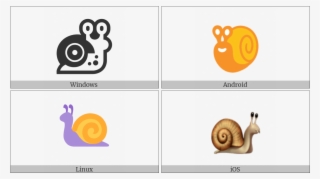 Snail On Various Operating Systems - Lymnaeidae #9748591