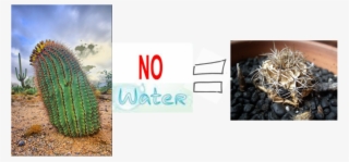 Mojave D﻿esert - Water Clip Art Free #9748742