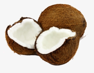 Coco Bruno Junges - Imagens De Coco Seco Png #9749904