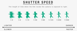 Iso Is The Measurement Of A Film's Speed, Defined By - Number #9750049