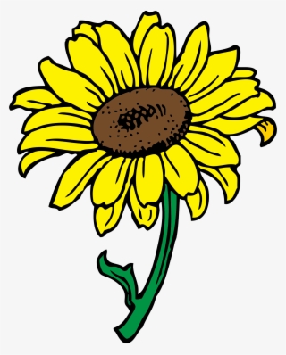 15 Sunflowers Png Animated For Free On Mbtskoudsalg - Clip Art Of Sunflower #9752291