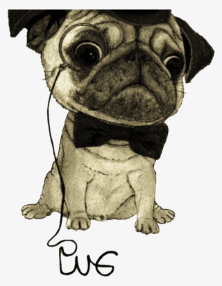 Pug Dibujo Png - Señor Pug #9752565
