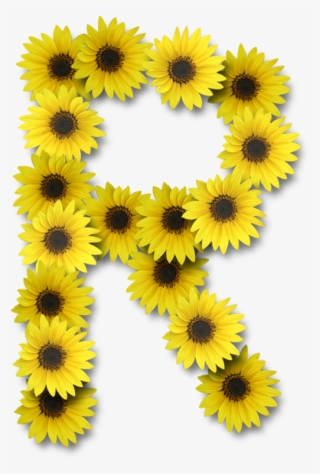 Alfabeto Sunflowers - Letter B Sunflower #9752654