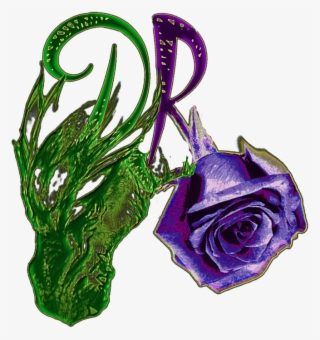 Garden Roses #9752814