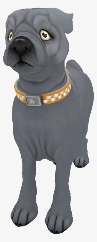 Pug Silversolid - Pug #9753141