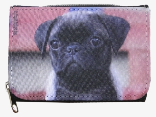Lotte, Pug Purse, S - Pug #9753512
